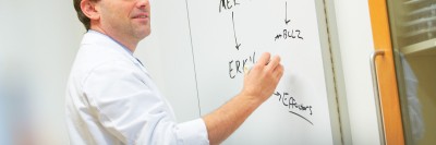 Pictured: David Solit