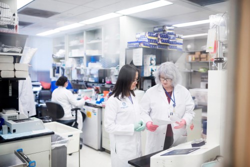 Members of the Gene Transfer and Somatic Cell Engineering facility at MSK at work in the lab.