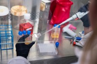 A researcher working in an MSK lab