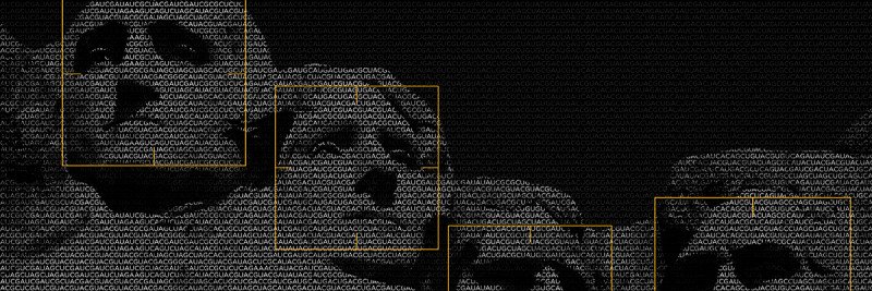 Mount Rushmore viewed through face-detection software.