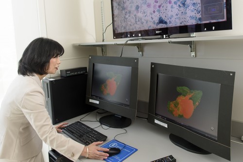 Digital Pathology Scientist Dr. Yukako Yagi at the MSK Josie Robertson Surgical Center