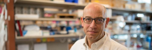 MSK Thoracic Oncology Service Chief Charles Rudin leads the NCI Small Cell Lung Cancer Consortium.