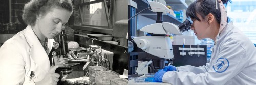 a composite showing a black and white, historical photo of a woman at the microscope on the left, and a modern version of a similar picture on the right
